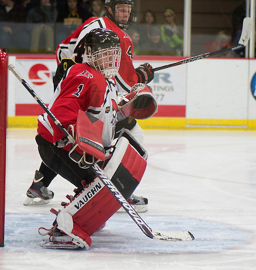 Wis.-River Falls Falcons goalie Scott Lewan keeps watch as they  play Augsburg College Thursday December 13, 2012  in W.H. Hunt Arena. (Kathy M Helgeson)