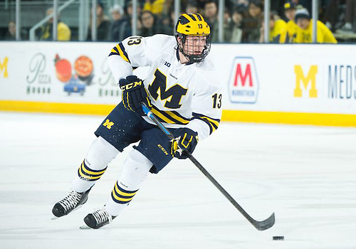 Michigan's Zach Werenski (Daryl Marshke/UM Photography, D. Marshke)