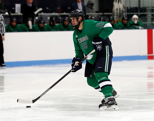 Endicott defenseman Logan Day (Tim Brule)