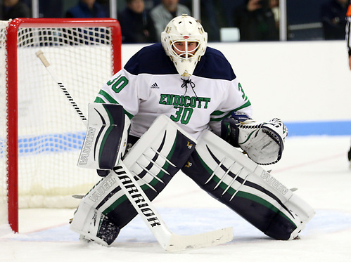 Freshman Goalie Kevin Aldridge of Endicott (Tim Brule)