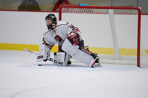 Zach Quinn of Wis.-River Falls. The Falcons play Augsburg College in the Falcon Center's Hunt Arena Saturday November 12, 2016. photo by Kathy M Helgeson (Kathy M Helgeson)