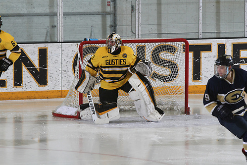 Chris Amsden of Gustavus Adolphus (Gustavus Adolphus Athletics)