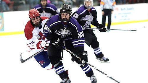 Forward David White of Amherst (Eric Miller/Amherst Athletics)