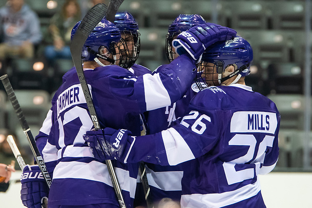 Niagara players celebrate a first period goal by Nick Farmer (12 - Niagara University) (2018 Omar Phillips)